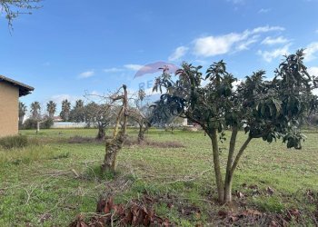 Giardino - Terreno edificabile Contrada Piano San Paolo
snc, Caltagirone - foto 5