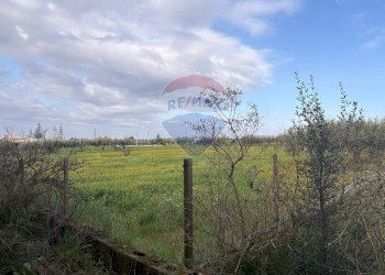Giardino - Terreno edificabile Contrada Piano San Paolo
snc, Caltagirone - foto 6