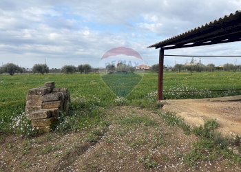 Giardino - Terreno edificabile Contrada Piano San Paolo
snc, Caltagirone - foto 8