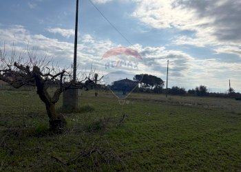 Giardino - Terreno edificabile Contrada Piano San Paolo
snc, Caltagirone - foto 9