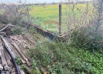 Giardino - Terreno edificabile Contrada Piano San Paolo
snc, Caltagirone - foto 13