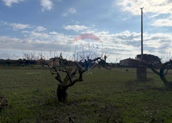 Giardino - Terreno edificabile Contrada Piano San Paolo
snc, Caltagirone - foto 15