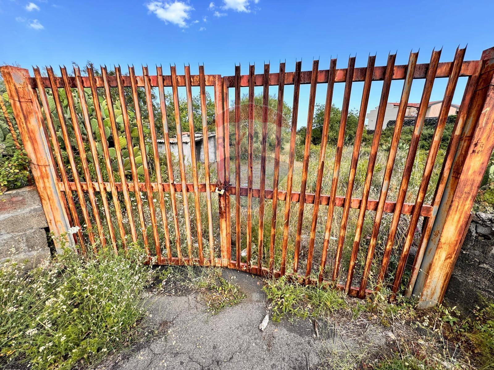 Giardino - Agricultural land VIA DELLE ORTENSIE
15, Pedara - photo 3