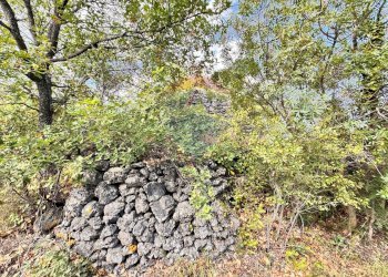 Giardino - Agricultural land VIA DELLE ORTENSIE
 
15, Pedara - photo 6