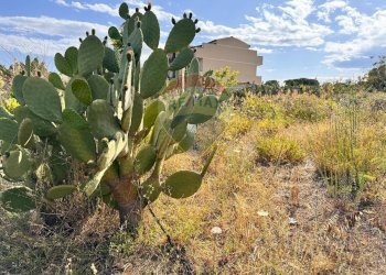 Vista delle montagne - Agricultural land VIA DELLE ORTENSIE
 
15, Pedara - photo 13