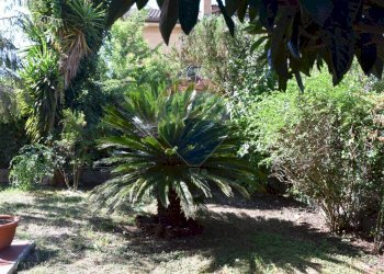 Giardino - Villa Via Tanaro
 
84, Ardea - foto 17