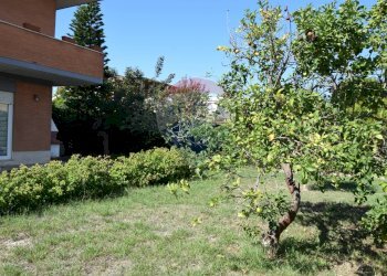 Giardino - Villa Via Tanaro
 
84, Ardea - foto 18