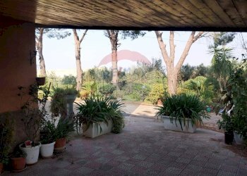 Terrazza - Terreno agricolo C.da Imaccari Soprano
 
snc, Mirabella Imbaccari - foto 7