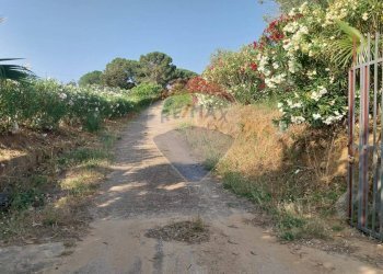 Giardino - Terreno agricolo C.da Imaccari Soprano
 
snc, Mirabella Imbaccari - foto 10