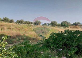 Giardino - Terreno agricolo C.da Imaccari Soprano
 
snc, Mirabella Imbaccari - foto 16