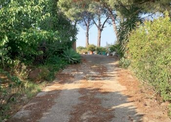 Giardino - Terreno agricolo C.da Imaccari Soprano
 
snc, Mirabella Imbaccari - foto 18