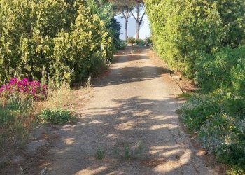 Giardino - Terreno agricolo C.da Imaccari Soprano
 
snc, Mirabella Imbaccari - foto 20