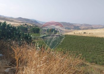 Vista delle montagne - Terreno agricolo C.da Imaccari Soprano
 
snc, Mirabella Imbaccari - foto 23