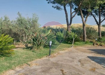 Giardino - Terreno agricolo C.da Imaccari Soprano
 
snc, Mirabella Imbaccari - foto 26