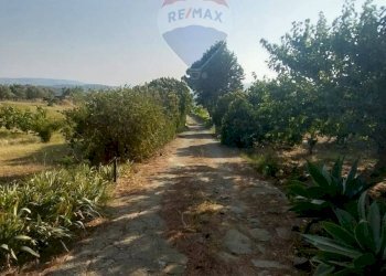 Giardino - Terreno agricolo C.da Imaccari Soprano
 
snc, Mirabella Imbaccari - foto 30