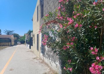 Edificio all\'aperto - Villa Via sciarrano
 
18, Catania - foto 66