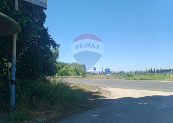 Giardino - Villa Via sciarrano
 
18, Catania - foto 82