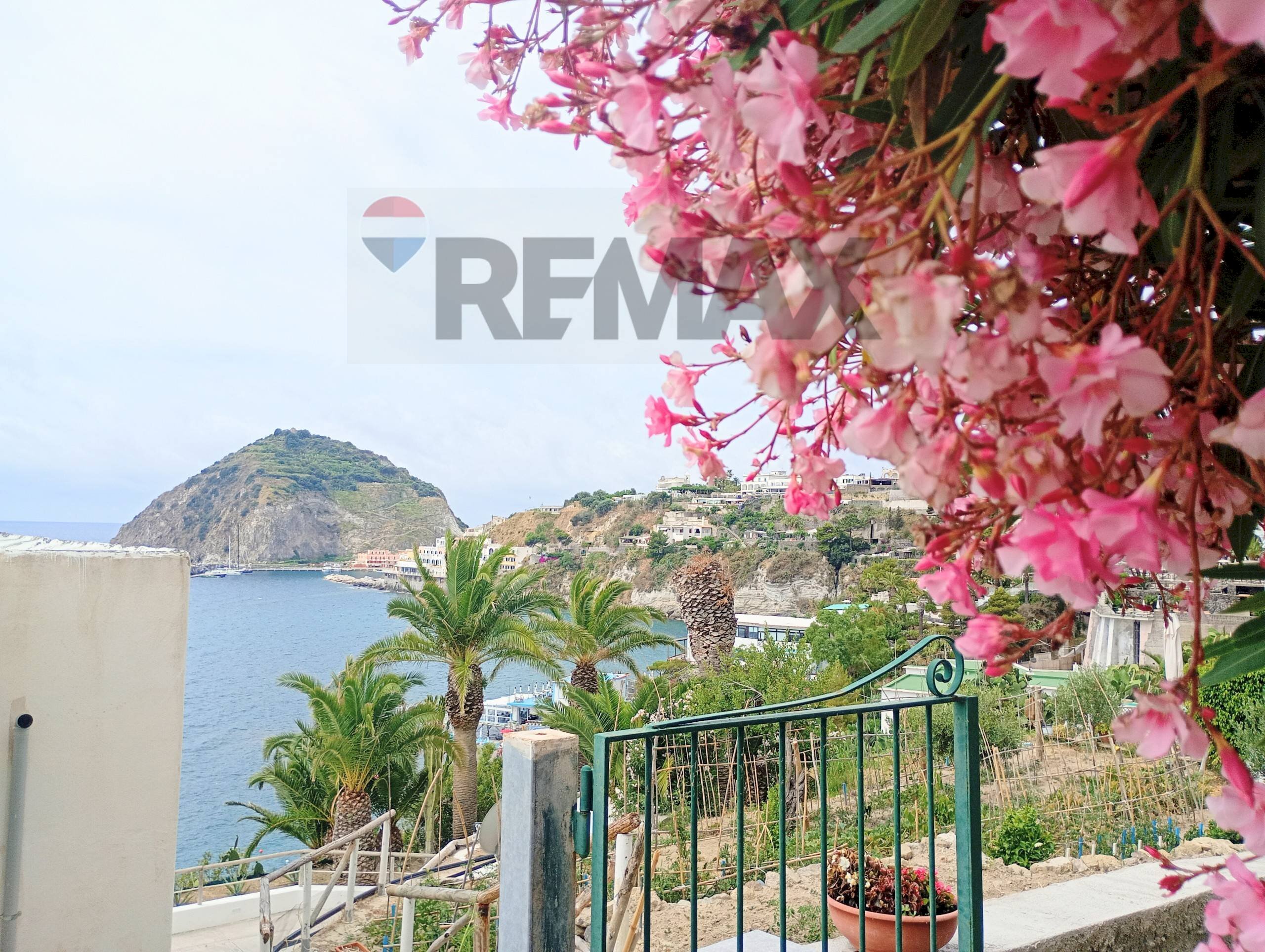 Vista dell\'acqua - Independent house via Fondolillo
58, Ischia - photo 2