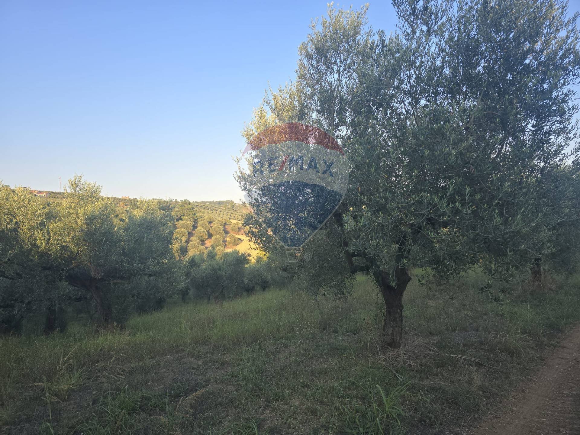 Non correlato - Terreno agricolo contrada selva stella, Moscufo - foto 2