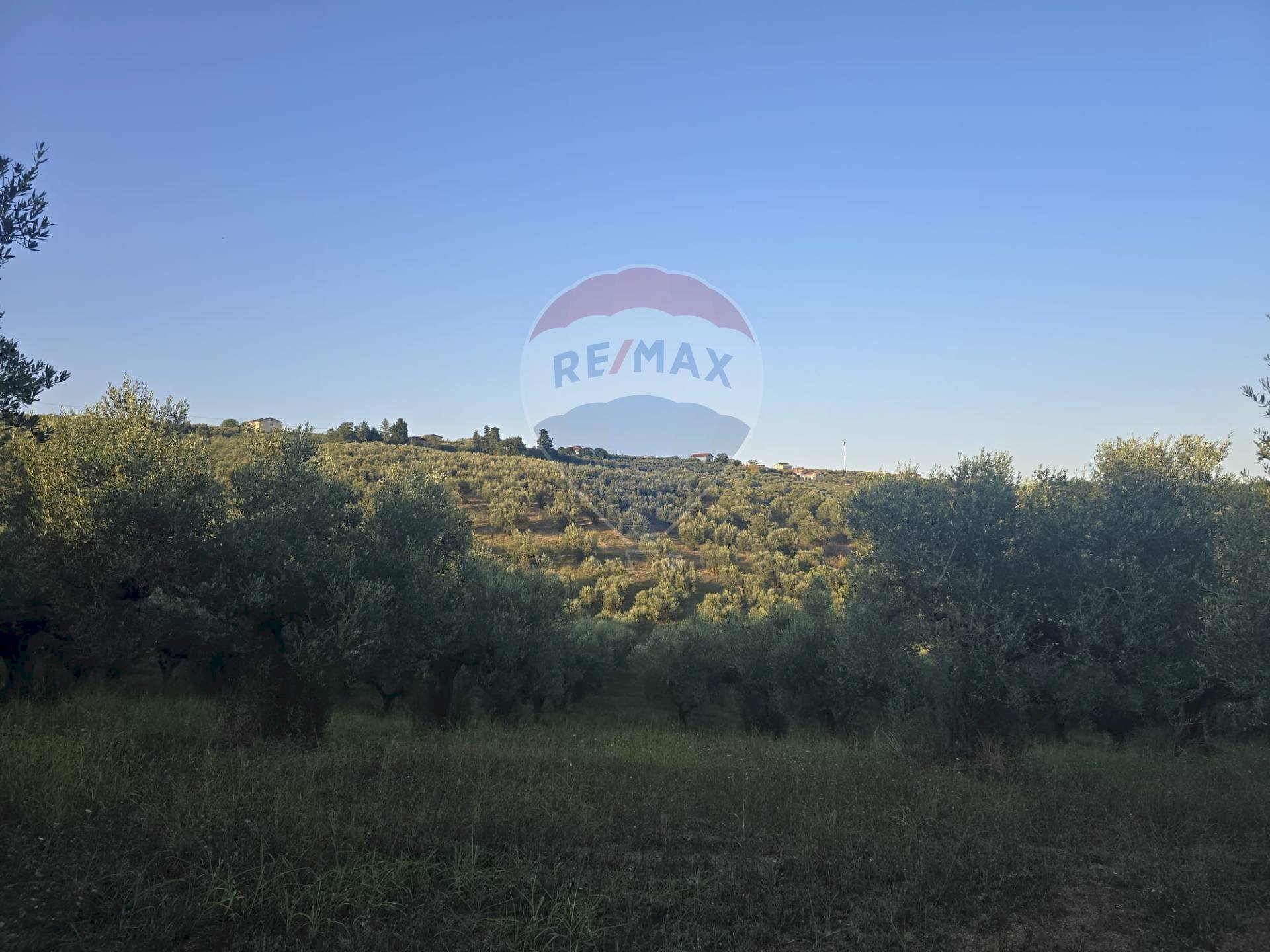 Edificio all\'aperto - Terreno agricolo contrada selva stella, Moscufo - foto 3