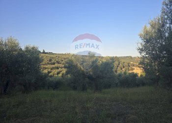 Edificio all\'aperto - Terreno agricolo contrada selva stella, Moscufo - foto 1