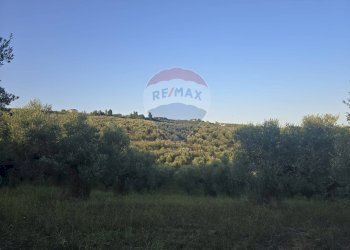 Edificio all\'aperto - Terreno agricolo contrada selva stella, Moscufo - foto 4