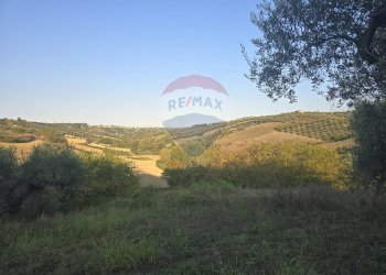 Vista delle montagne - Terreno agricolo contrada selva stella, Moscufo - foto 5