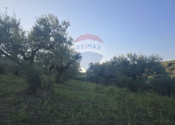 Non correlato - Terreno agricolo contrada selva stella, Moscufo - foto 8