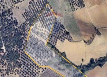 Posizione della mappa - Terreno agricolo contrada selva stella, Moscufo - foto 11