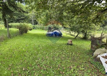 Giardino - Casa semi indipendente Loc. Pradellano
 
39, Pieve Tesino - foto 8