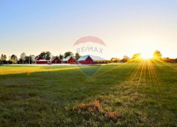 Giardino - Terreno agricolo via mezzanella, Morazzone - foto 3