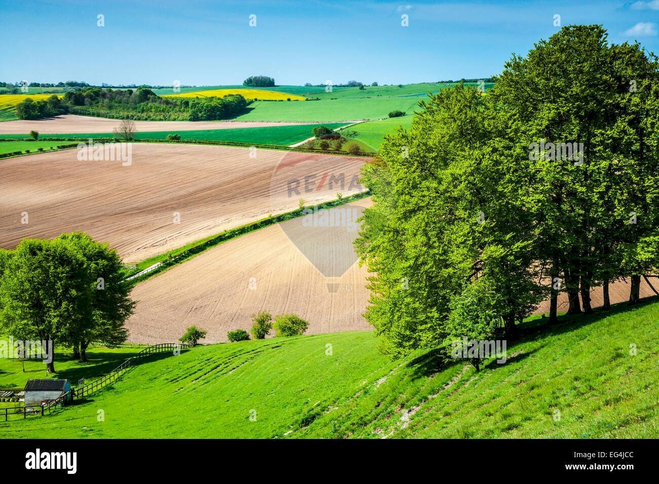 Giardino - Agricultural land via mezzanella, Morazzone - photo 2
