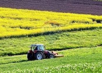Giardino - Terreno agricolo via mezzanella, Morazzone - foto 28