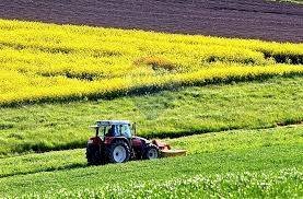 Giardino - Agricultural land via mezzanella, Morazzone - photo 1