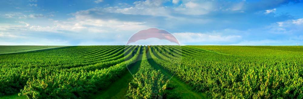 Giardino - Agricultural land via mezzanella, Morazzone - photo 3