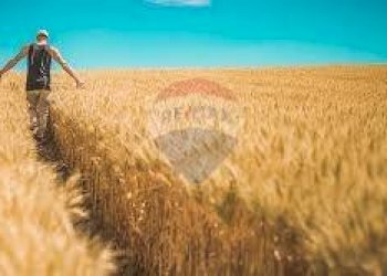 Vista dell\'acqua - Terreno agricolo via mezzanella, Morazzone - foto 15