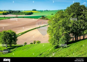 Giardino - Terreno agricolo via mezzanella, Morazzone - foto 32