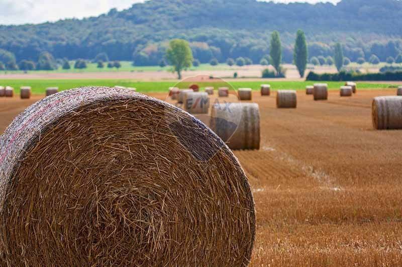 Vista delle montagne - Terreno agricolo via mezzanella, Morazzone - foto 3