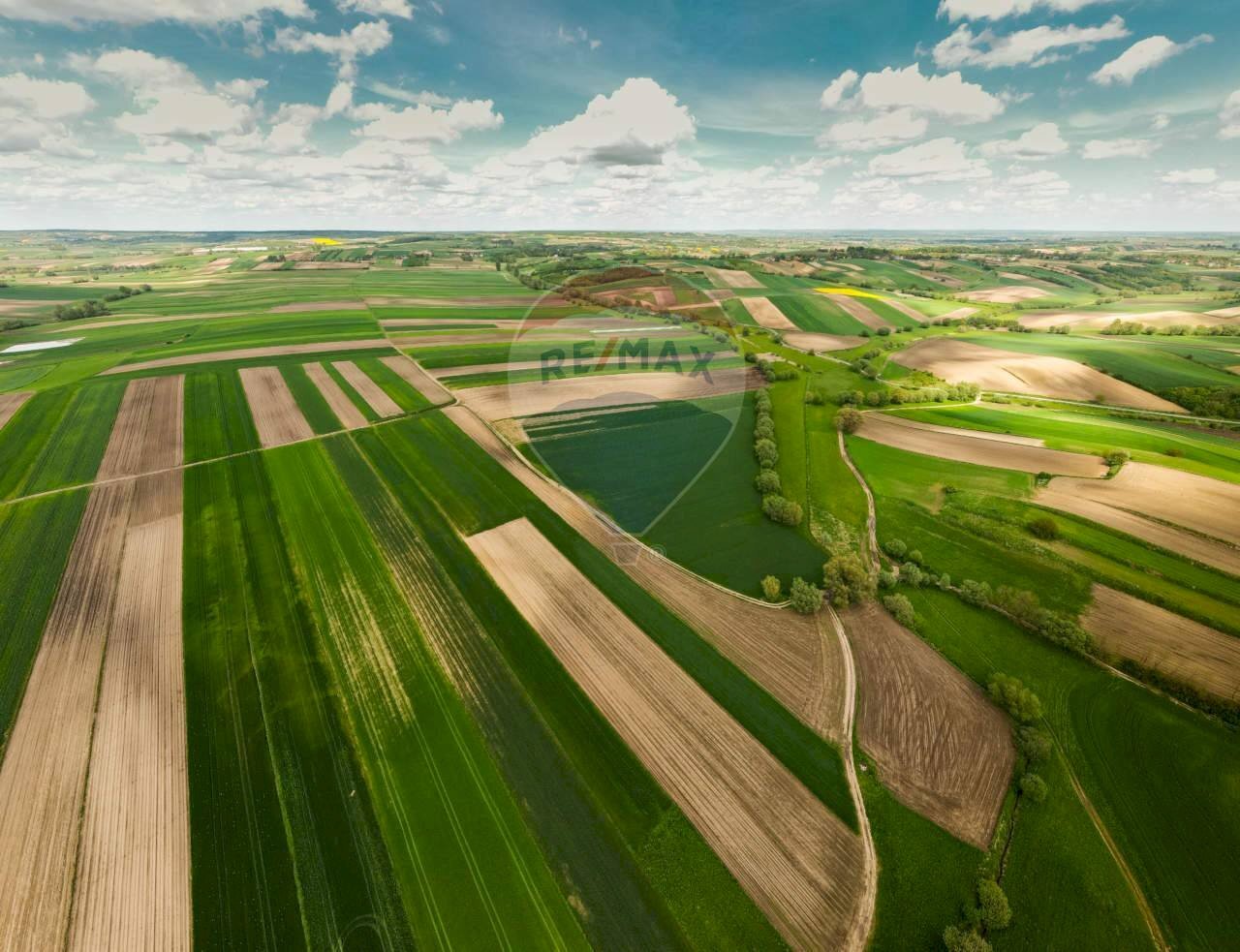 Giardino - Agricultural land via mezzanella, Morazzone - photo 2