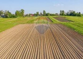 Casa all\'aperto - Terreno agricolo via mezzanella, Morazzone - foto 7