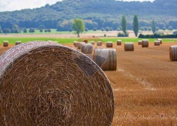 Vista delle montagne - Terreno agricolo via mezzanella, Morazzone - foto 4