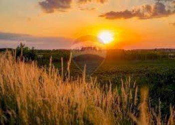 Vista dell\'acqua - Terreno agricolo via mezzanella, Morazzone - foto 19