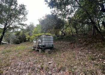 Foto 5 - Casa indipendente via Felettelle, San Michele di Serino - foto 5