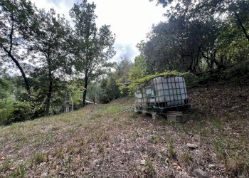 Foto 6 - Casa indipendente via Felettelle, San Michele di Serino - foto 6