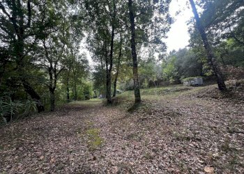 Foto 7 - Casa indipendente via Felettelle, San Michele di Serino - foto 7