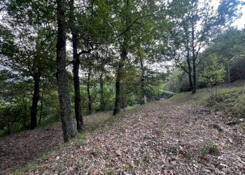 Foto 8 - Casa indipendente via Felettelle, San Michele di Serino - foto 8