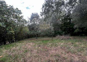 Foto 9 - Casa indipendente via Felettelle, San Michele di Serino - foto 9