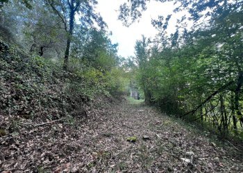 Foto 10 - Casa indipendente via Felettelle, San Michele di Serino - foto 10