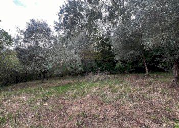 Foto 12 - Casa indipendente via Felettelle, San Michele di Serino - foto 12