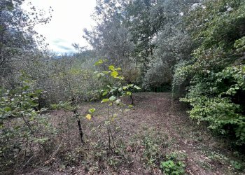 Foto 13 - Casa indipendente via Felettelle, San Michele di Serino - foto 13